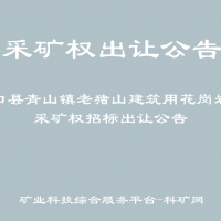 林口县青山镇老猪山建筑用花岗岩矿采矿权招标出让公告