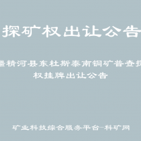新疆精河县东杜斯泰南铜矿普查探矿权挂牌出让公告