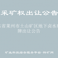 山东省莱州市土山矿区地下卤水矿挂牌出让公告