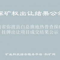 云南省弥渡县白总旗地热普查探矿权挂牌出让项目成交结果公示