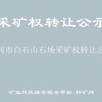 蛟河市白石山石场采矿权转让公示