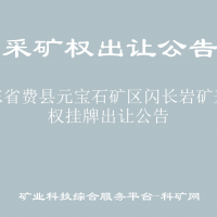 山东省费县元宝石矿区闪长岩矿采矿权挂牌出让公告