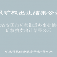 河北省安国市药都街道办事处地热采矿权拍卖出让结果公示